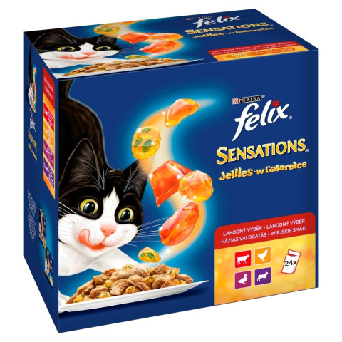 Felix Sensations Mięsna różnorodność 24x100g