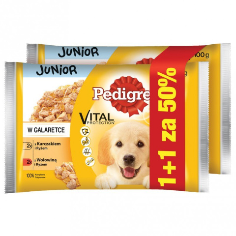 PEDIGREE Junior Wołowina Kurczak z ryżem 8 x 100g