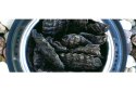 Bult Nerka wieprzowa 100g