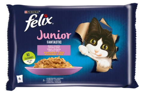 FELIX FANTASTIC JUNIOR Kurczak Łosoś 4x 85g