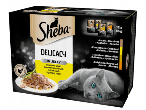 SHEBA 12x85g Delicacy in Jelly Smaki Drobiowe