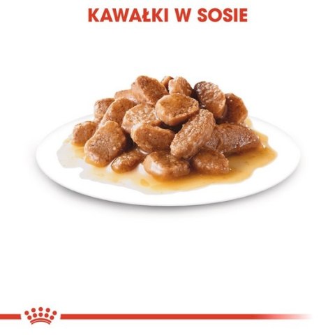 Royal Canin Mini Ageing 12+ karma mokra w sosie dla psów dojrzałych po 12 roku życia, ras małych saszetka 85g Royal Canin Mini Ageing 12+ karma mokra w sosie dla psów dojrzałych po 12 roku życia, ras małych saszetka 85g