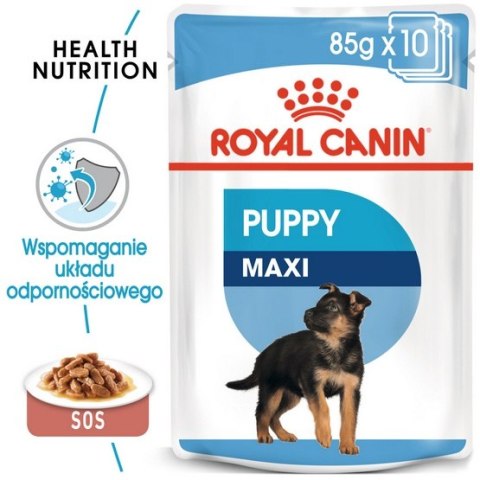 Royal Canin Maxi Puppy karma mokra w sosie dla szczeniąt, od 2 do 15 miesiąca życia, ras dużych saszetka 140g Royal Canin Maxi Puppy karma mokra w sosie dla szczeniąt, od 2 do 15 miesiąca życia, ras dużych saszetka 140g