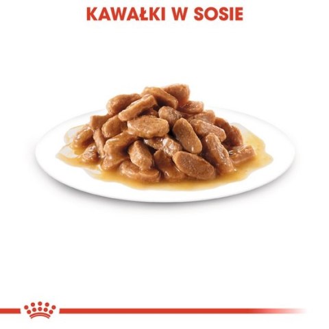 Royal Canin Maxi Puppy karma mokra w sosie dla szczeniąt, od 2 do 15 miesiąca życia, ras dużych saszetka 140g Royal Canin Maxi Puppy karma mokra w sosie dla szczeniąt, od 2 do 15 miesiąca życia, ras dużych saszetka 140g