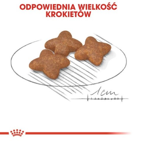 Royal Canin Mini Adult karma sucha dla psów dorosłych, ras małych 2kg Royal Canin Mini Adult karma sucha dla psów dorosłych, ras małych 2kg