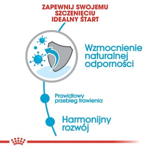 Royal Canin Mini Puppy karma sucha dla szczeniąt, od 2 do 10 miesiąca życia, ras małych 2kg Royal Canin Mini Puppy karma sucha dla szczeniąt, od 2 do 10 miesiąca życia, ras małych 2kg