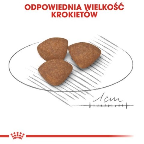 Royal Canin Mini Puppy karma sucha dla szczeniąt, od 2 do 10 miesiąca życia, ras małych 2kg Royal Canin Mini Puppy karma sucha dla szczeniąt, od 2 do 10 miesiąca życia, ras małych 2kg